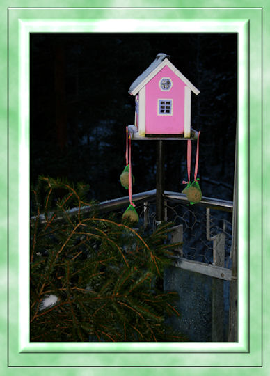 birdhouse-winter1