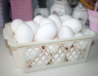 eggs11
