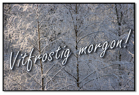 frostig-morgon1