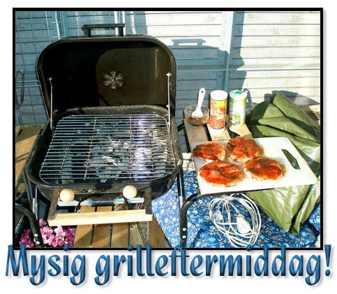 grill11