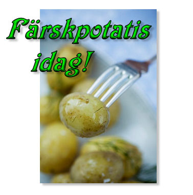 potatis1