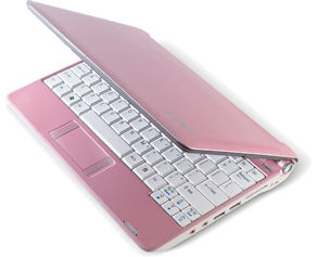 rosa-dator2