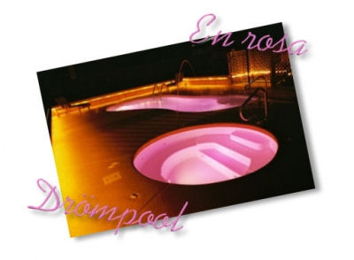 rosa-pool1