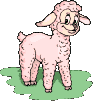 sheep9