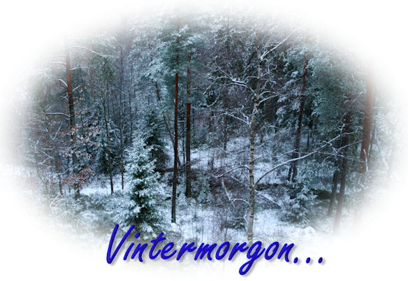 vintermorgon15